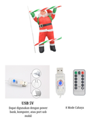Santa Climbing Ladder Light