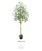 Olive Tree Faux Artificial Plant