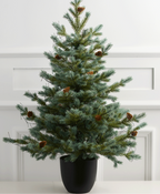Lush Green Christmas Tree