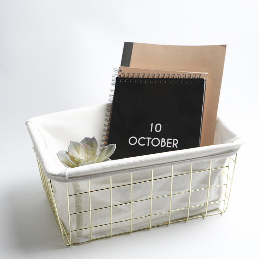 Storage Basket with Lining