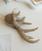Champagne Antler Elk Ornament