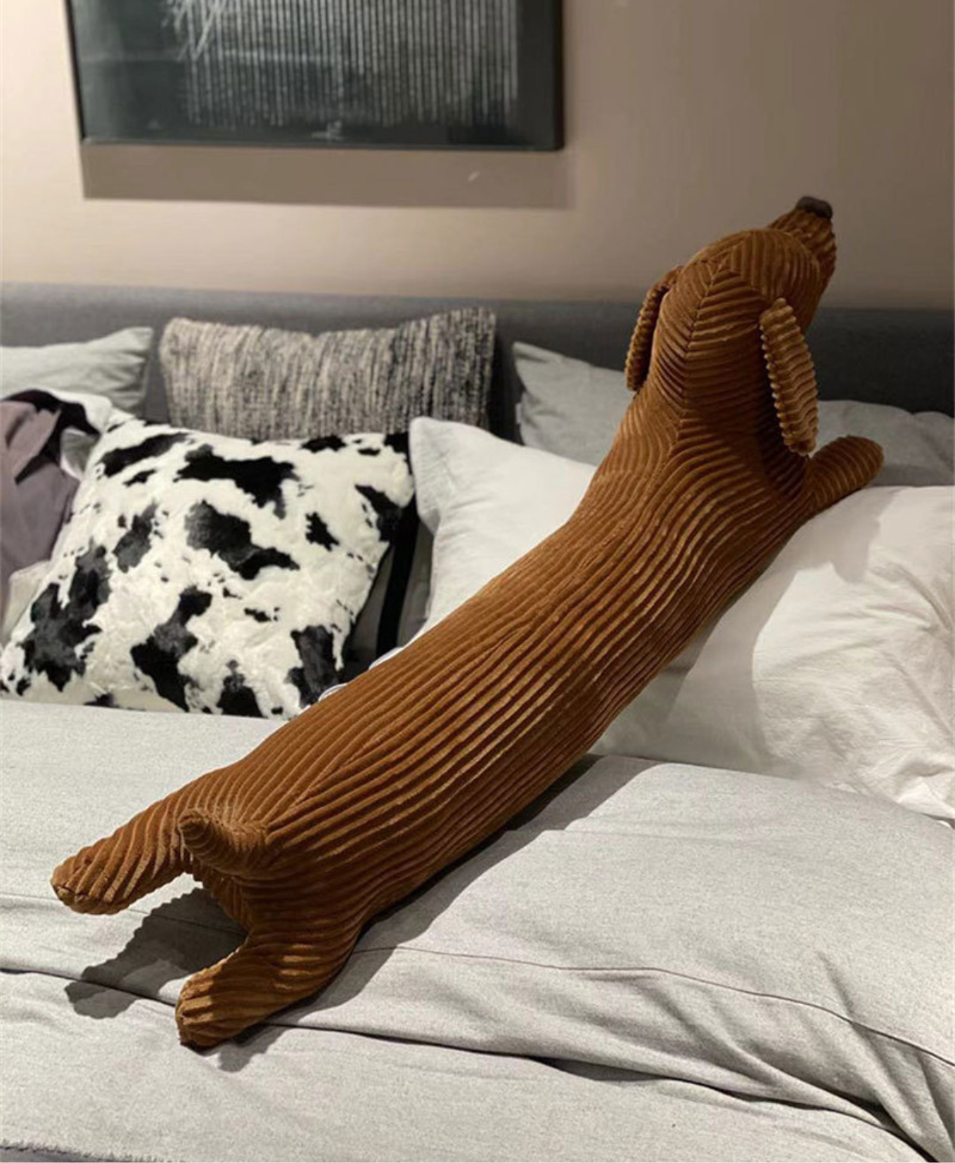 Brown Dachshund Pillow