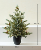 Lush Green Christmas Tree
