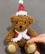 Jolly Teddy Christmas Ornament
