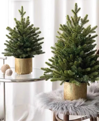 Enchanted Artificial Christmas Tree