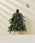 Minimalist Frosted Pine Mini Christmas Tree