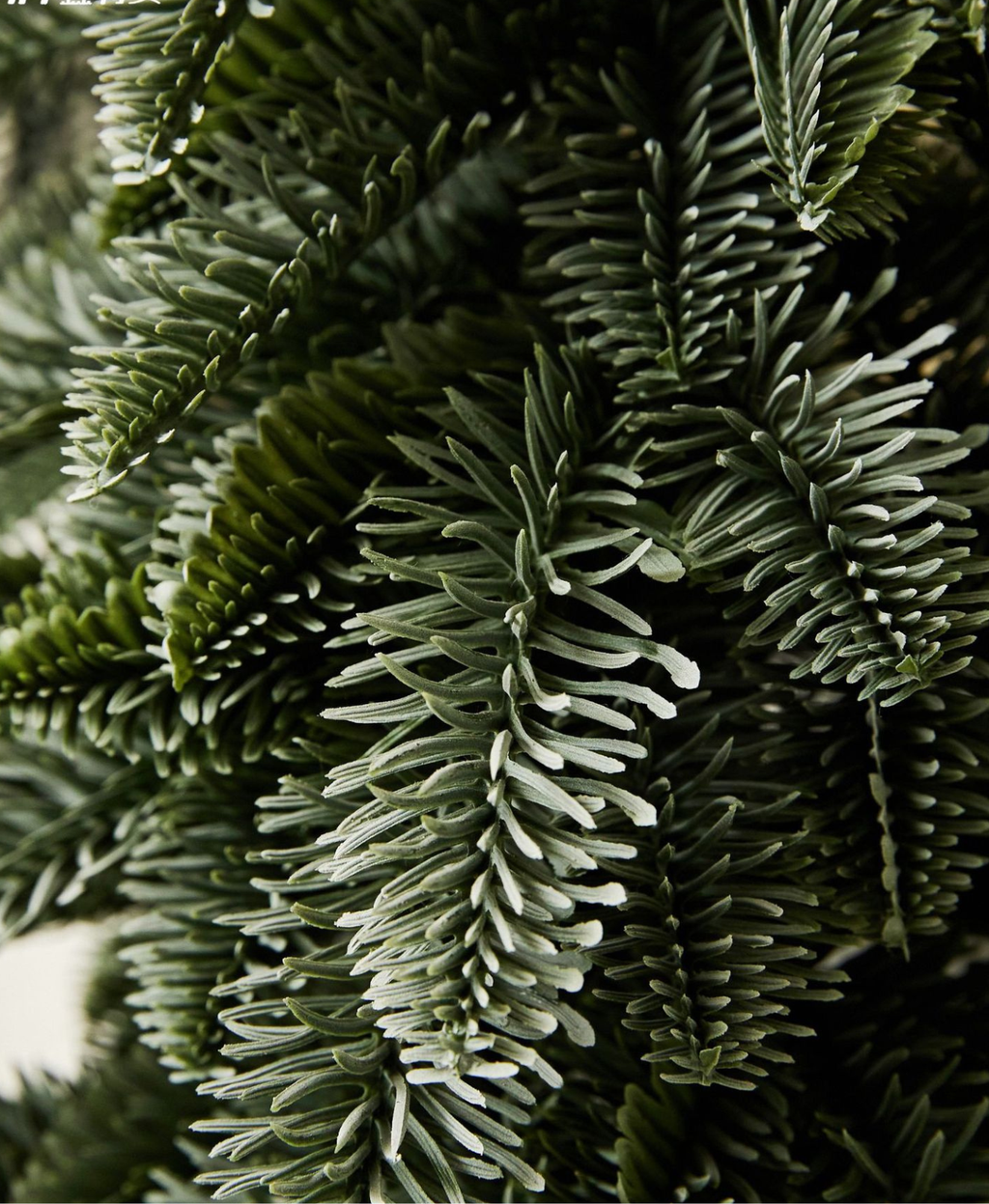 Minimalist Frosted Pine Mini Christmas Tree