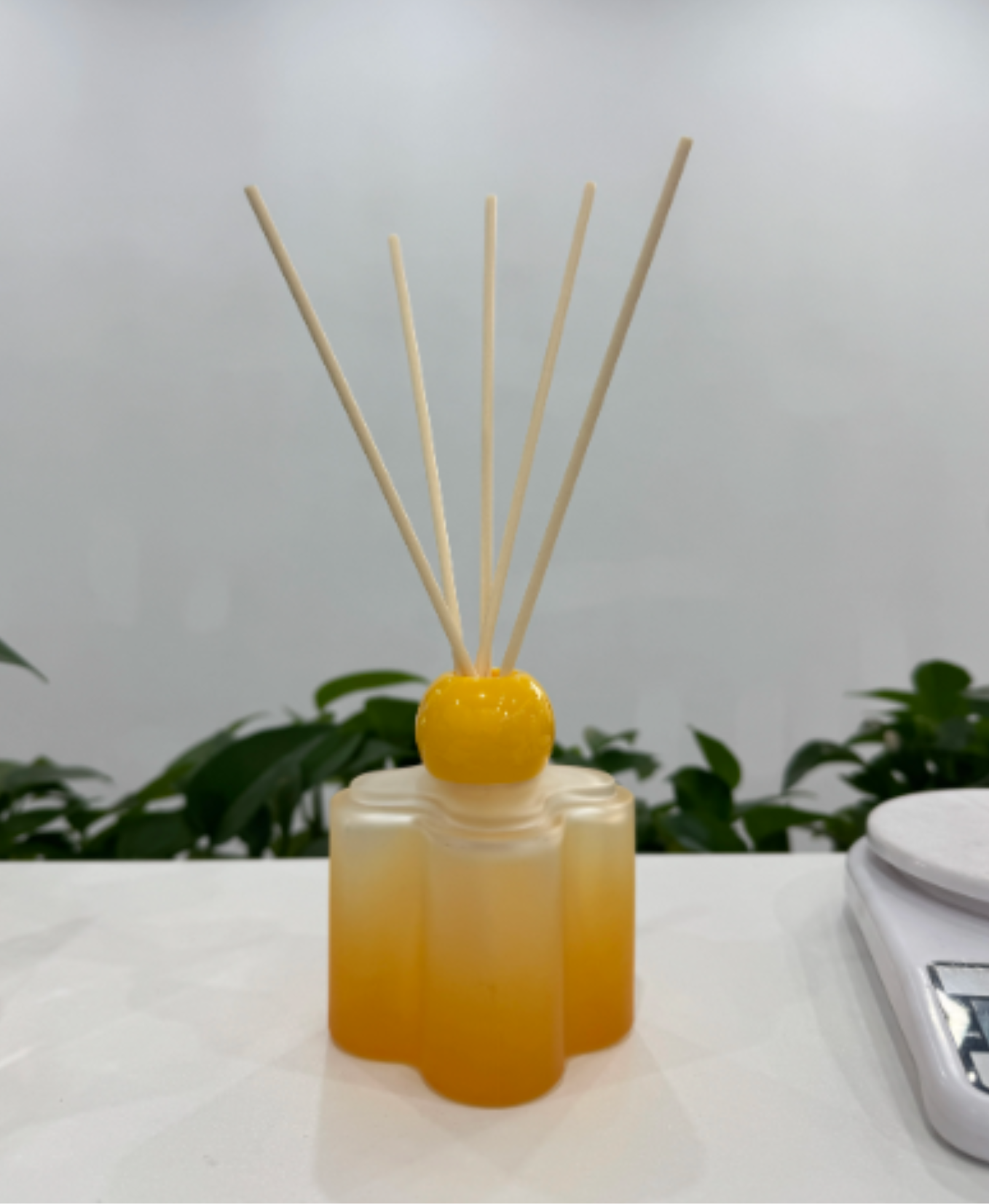 GIFTING INSPIRATION - Amber Cloud Essential Diffuser
