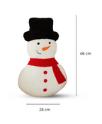 Chilly the Snowman Pillow