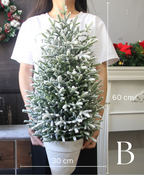 Green Arctic Mini Christmas Tree