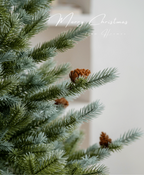 Lush Green Christmas Tree