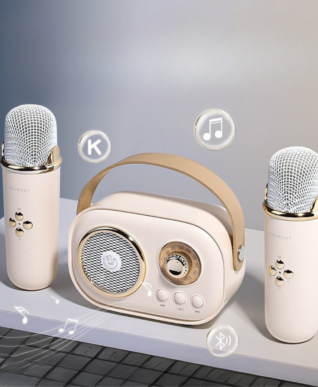 GIFTING INSPIRATION - Mini Portable Karaoke Speaker