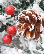 Frosted Pine Holiday Wreath