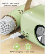 GIFTING INSPIRATION - Mini Portable Karaoke Speaker
