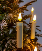 Christmas Tree Candle Clip Set
