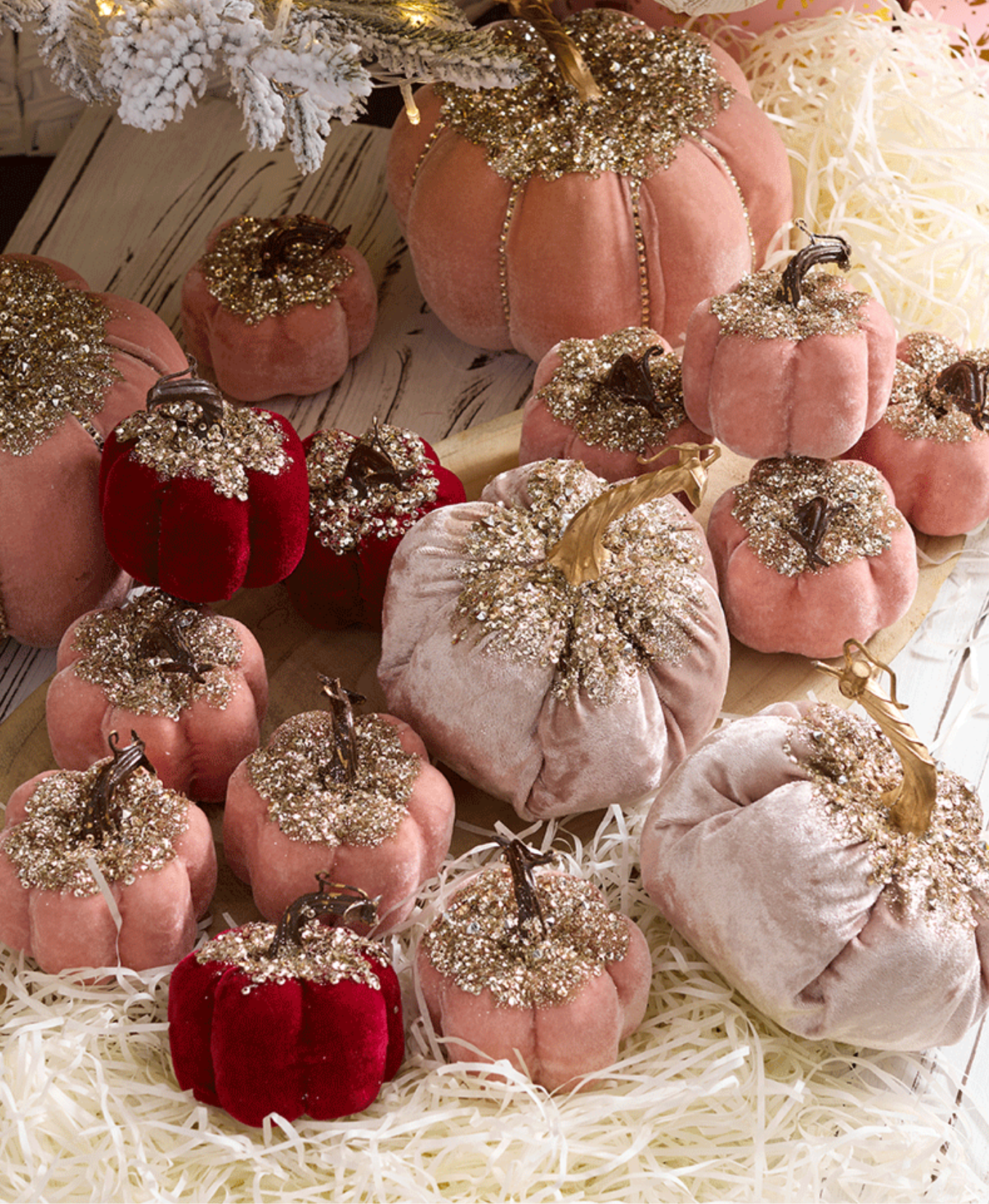 Christmas Pumpkin Charmers Decoration