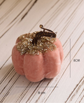 Christmas Pumpkin Charmers Decoration