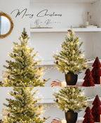 Lush Green Christmas Tree