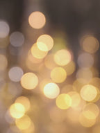 Golden Sparkle Tree Light Decoration